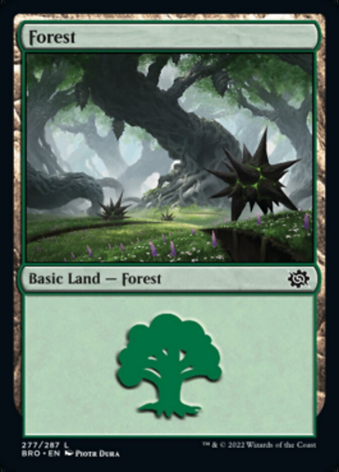 Forest (277) [The Brothers' War] | Card Merchant Takapuna