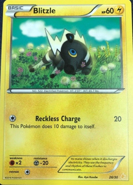 Blitzle (26/30) [XY: Trainer Kit 3 - Pikachu Libre] | Card Merchant Takapuna