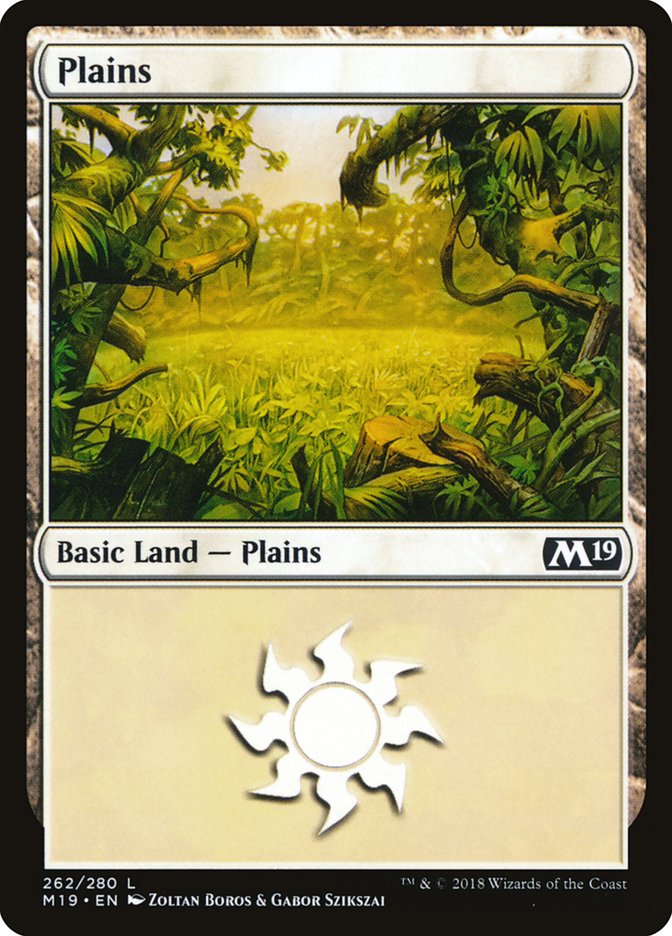 Plains (262) [Core Set 2019] | Card Merchant Takapuna