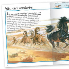 100 facts - Horses and Ponies | Card Merchant Takapuna