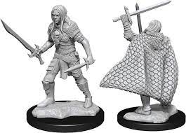 D&D Miniature Figurine - Adventurers