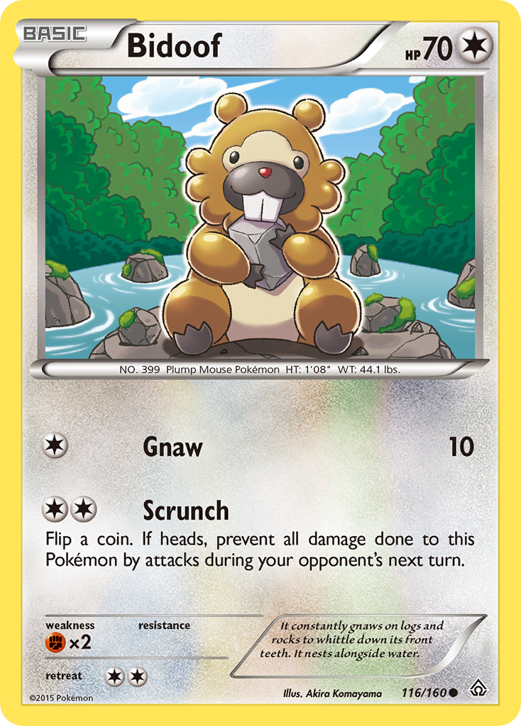 Bidoof (116/160) [XY: Primal Clash] | Card Merchant Takapuna