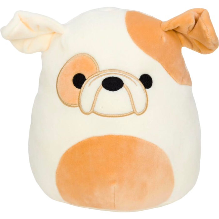 Brock - 16" Squishmallow | Card Merchant Takapuna