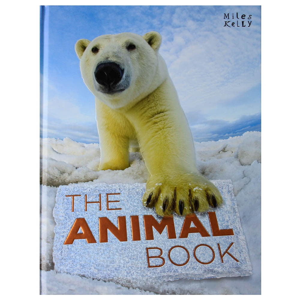 The Animal Book | Card Merchant Takapuna