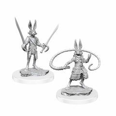 D&D Miniature Figurine - Monsters/Creatures | Card Merchant Takapuna