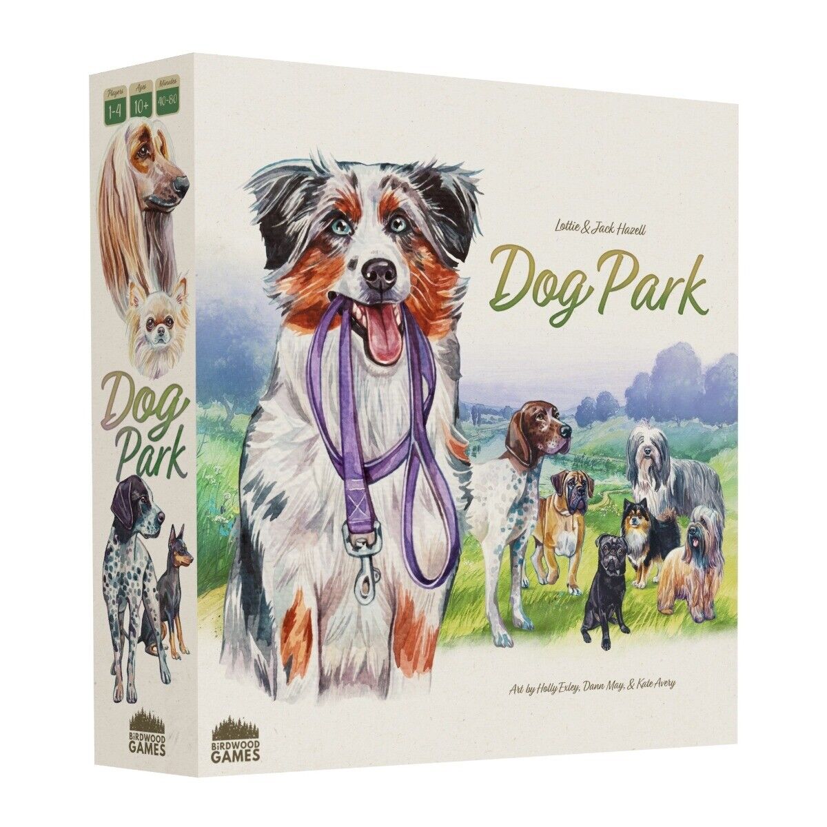 Dog Park Board Game | Card Merchant Takapuna