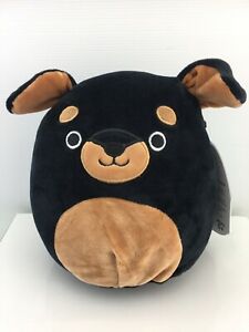 Squishmallow - Mateo 5" | Card Merchant Takapuna