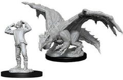 D&D Miniature Figurine - Monsters/Creatures | Card Merchant Takapuna