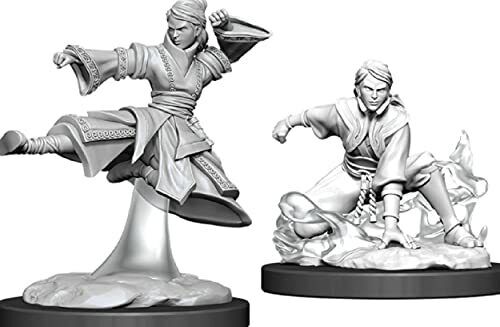 D&D: NMU: Female Human Monk W11 | Card Merchant Takapuna
