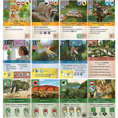 Ark Nova | Card Merchant Takapuna