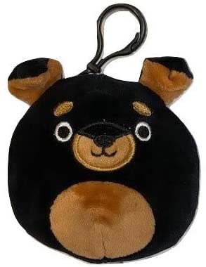 Squishmallow Clip- Mateo | Card Merchant Takapuna