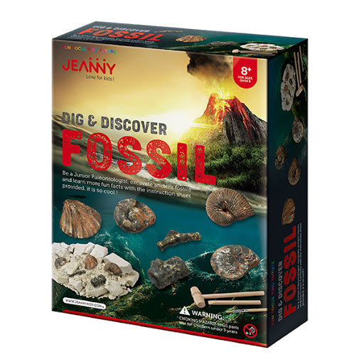 Dig & Discover: Fossil | Card Merchant Takapuna